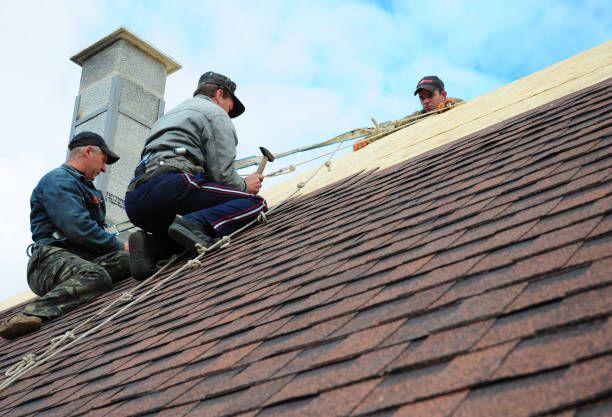 Best Commercial Roofing Services  in Harlan, IN